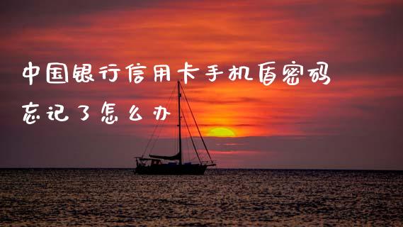 中国银行信用卡手机盾密码忘记了怎么办_https://m.jnlaobingbanjia.com_全球市场_第1张