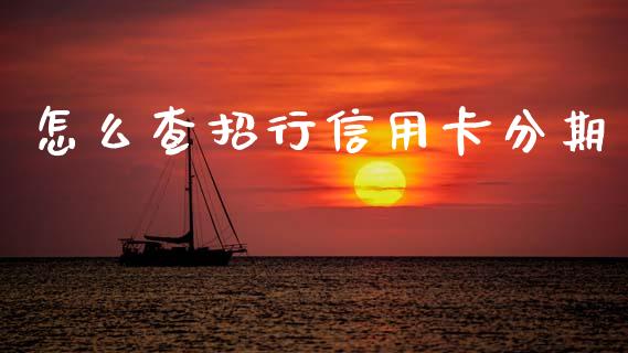 怎么查招行信用卡分期_https://m.jnlaobingbanjia.com_全球市场_第1张