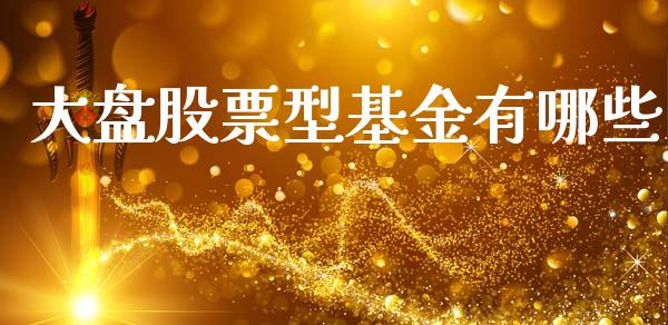 大盘股票型基金有哪些_https://m.jnlaobingbanjia.com_全球市场_第1张