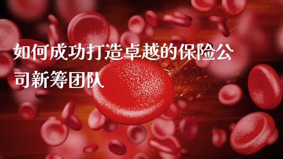 如何成功打造卓越的保险公司新筹团队_https://m.jnlaobingbanjia.com_股市新闻_第1张