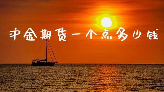 沪金期货一个点多少钱_https://m.jnlaobingbanjia.com_基金市场_第1张