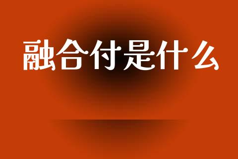 融合付是什么_https://m.jnlaobingbanjia.com_全球市场_第1张