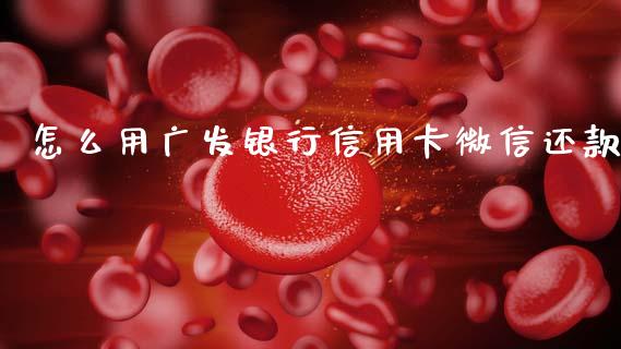 怎么用广发银行信用卡微信还款_https://m.jnlaobingbanjia.com_金融监管_第1张