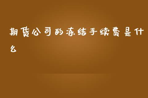 期货公司的冻结手续费是什么_https://m.jnlaobingbanjia.com_基金市场_第1张