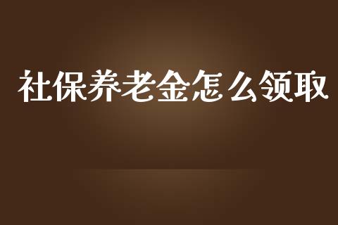 社保养老金怎么领取_https://m.jnlaobingbanjia.com_基金市场_第1张