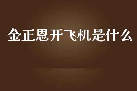 金正恩开飞机是什么_https://m.jnlaobingbanjia.com_全球市场_第1张