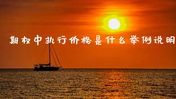 期权中执行价格是什么举例说明_https://m.jnlaobingbanjia.com_全球市场_第1张