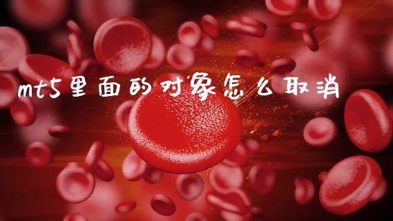mt5里面的对象怎么取消_https://m.jnlaobingbanjia.com_金融监管_第1张