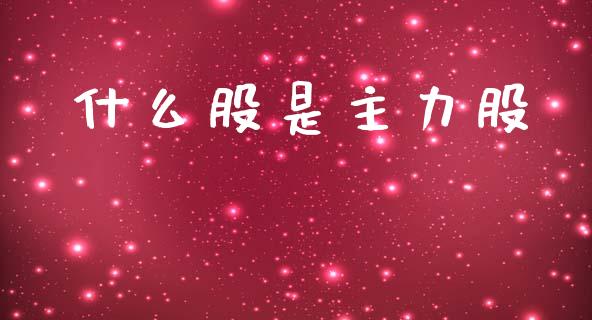 什么股是主力股_https://m.jnlaobingbanjia.com_理财规划_第1张