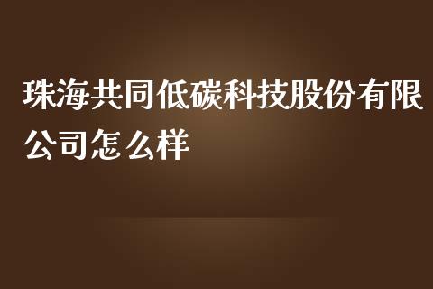 珠海共同低碳科技股份有限公司怎么样_https://m.jnlaobingbanjia.com_理财规划_第1张