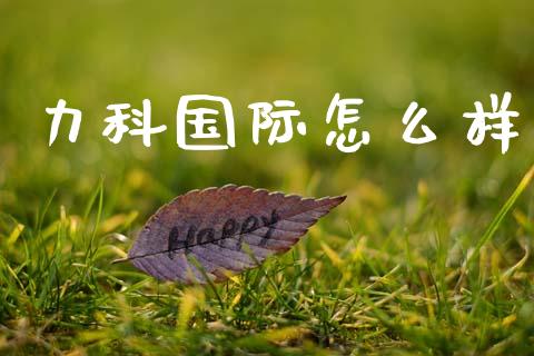 力科国际怎么样_https://m.jnlaobingbanjia.com_基金市场_第1张