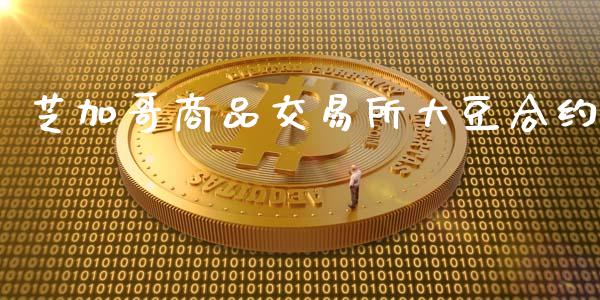 芝加哥商品交易所大豆合约_https://m.jnlaobingbanjia.com_股市新闻_第1张