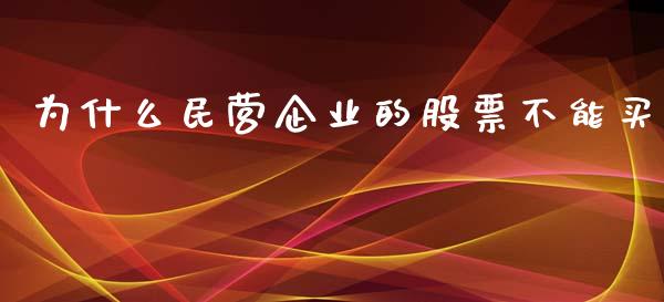 为什么民营企业的股票不能买_https://m.jnlaobingbanjia.com_全球市场_第1张
