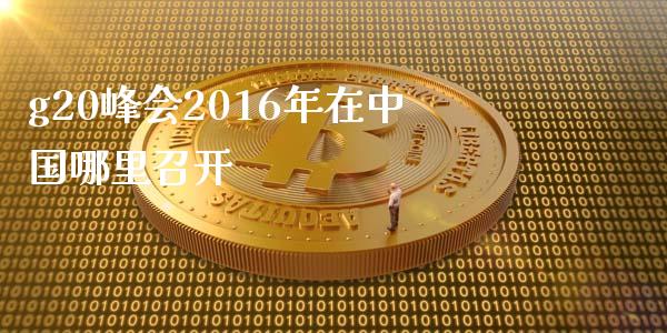 g20峰会2016年在中国哪里召开_https://m.jnlaobingbanjia.com_基金市场_第1张