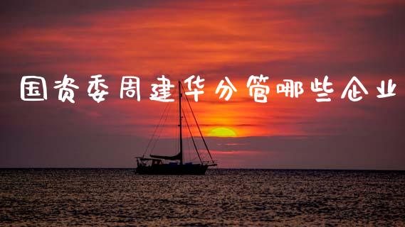 国资委周建华分管哪些企业_https://m.jnlaobingbanjia.com_区块链_第1张
