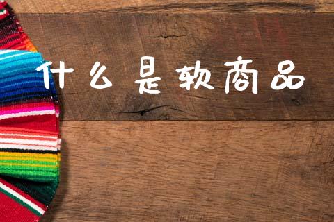 什么是软商品_https://m.jnlaobingbanjia.com_基金市场_第1张