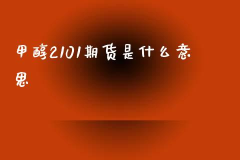 甲醇2101期货是什么意思_https://m.jnlaobingbanjia.com_理财规划_第1张