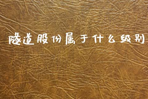 隧道股份属于什么级别_https://m.jnlaobingbanjia.com_区块链_第1张
