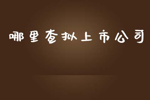 哪里查拟上市公司_https://m.jnlaobingbanjia.com_金融监管_第1张