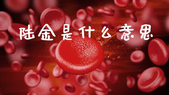 陆金是什么意思_https://m.jnlaobingbanjia.com_金融监管_第1张