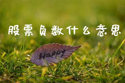 股票负数什么意思_https://m.jnlaobingbanjia.com_股市新闻_第1张