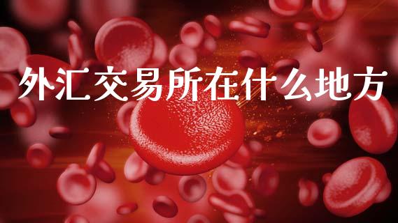 外汇交易所在什么地方_https://m.jnlaobingbanjia.com_金融监管_第1张