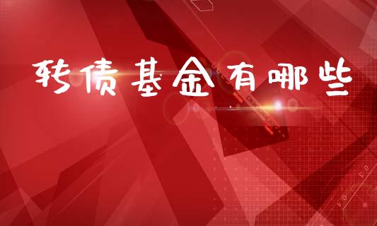 转债基金有哪些_https://m.jnlaobingbanjia.com_全球市场_第1张