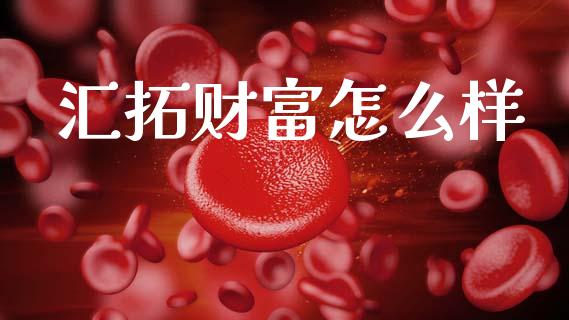 汇拓财富怎么样_https://m.jnlaobingbanjia.com_基金市场_第1张