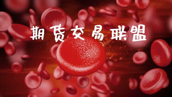 期货交易联盟_https://m.jnlaobingbanjia.com_基金市场_第1张