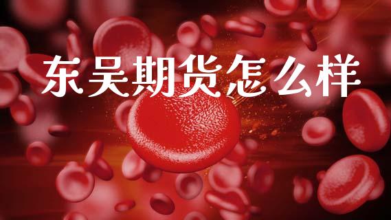 东吴期货怎么样_https://m.jnlaobingbanjia.com_股市新闻_第1张