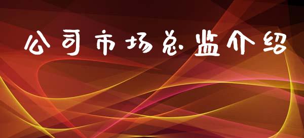 公司市场总监介绍_https://m.jnlaobingbanjia.com_金融监管_第1张