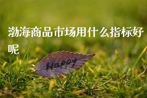 渤海商品市场用什么指标好呢_https://m.jnlaobingbanjia.com_全球市场_第1张