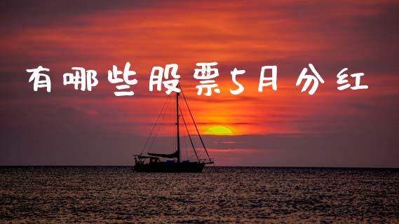 有哪些股票5月分红_https://m.jnlaobingbanjia.com_基金市场_第1张