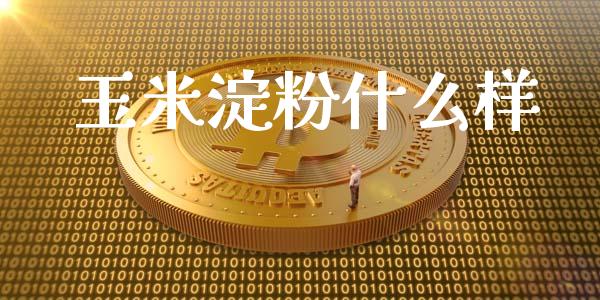 玉米淀粉什么样_https://m.jnlaobingbanjia.com_基金市场_第1张