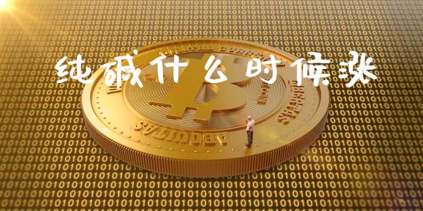纯碱什么时候涨_https://m.jnlaobingbanjia.com_金融监管_第1张
