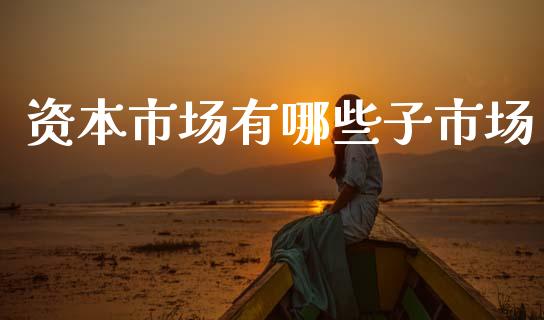 资本市场有哪些子市场_https://m.jnlaobingbanjia.com_理财规划_第1张