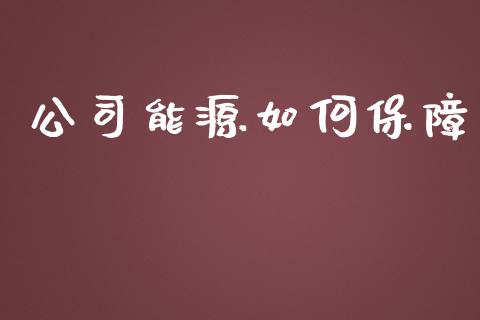 公司能源如何保障_https://m.jnlaobingbanjia.com_金融监管_第1张