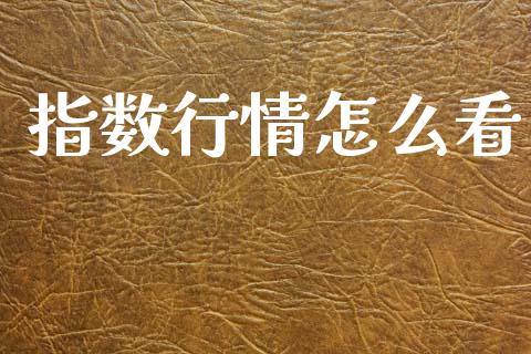 指数行情怎么看_https://m.jnlaobingbanjia.com_股市新闻_第1张