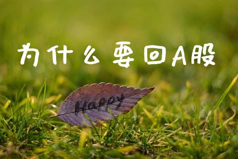 为什么要回A股_https://m.jnlaobingbanjia.com_股市新闻_第1张