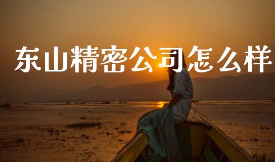东山精密公司怎么样_https://m.jnlaobingbanjia.com_区块链_第1张