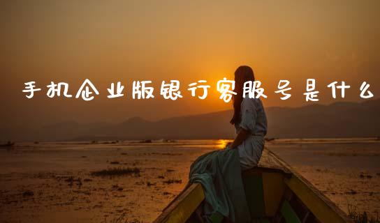 手机企业版银行客服号是什么_https://m.jnlaobingbanjia.com_金融监管_第1张