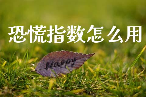 恐慌指数怎么用_https://m.jnlaobingbanjia.com_金融监管_第1张
