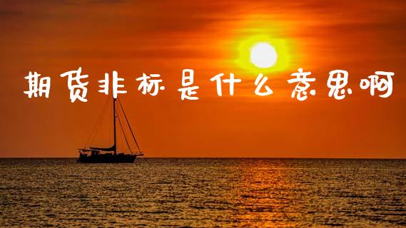 期货非标是什么意思啊_https://m.jnlaobingbanjia.com_金融监管_第1张