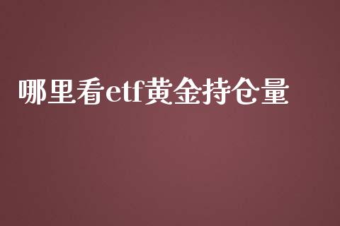 哪里看etf黄金持仓量_https://m.jnlaobingbanjia.com_理财规划_第1张