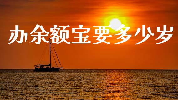 办余额宝要多少岁_https://m.jnlaobingbanjia.com_全球市场_第1张