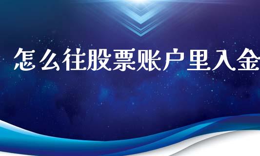怎么往股票账户里入金_https://m.jnlaobingbanjia.com_金融监管_第1张