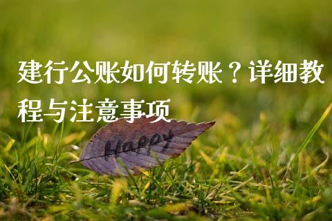 建行公账如何转账？详细教程与注意事项_https://m.jnlaobingbanjia.com_理财规划_第1张