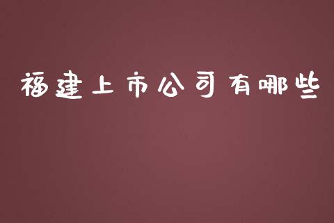 福建上市公司有哪些_https://m.jnlaobingbanjia.com_理财规划_第1张