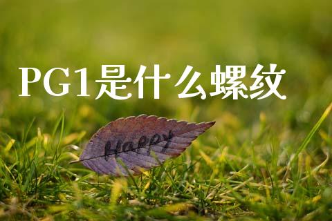 PG1是什么螺纹_https://m.jnlaobingbanjia.com_股市新闻_第1张