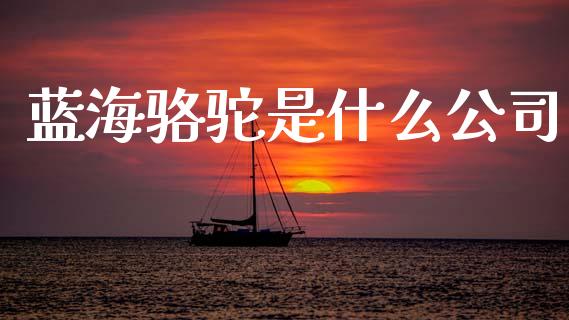 蓝海骆驼是什么公司_https://m.jnlaobingbanjia.com_理财规划_第1张